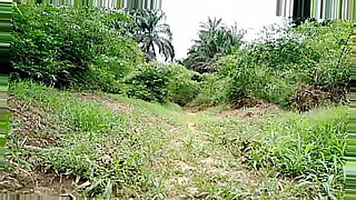 bf hd hindi sixeys videos