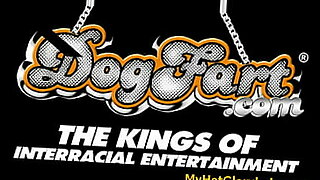 videos-de-orgias-caseras-gratis