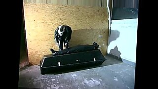 hindi dog xxx vedio