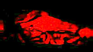 indian married sex video