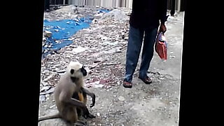 sani lione saxy video