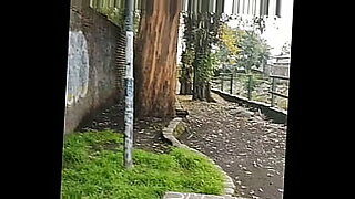 videos de sexo de mulheres com animais