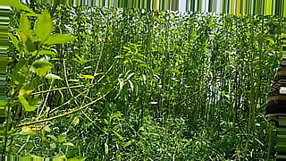 india-summer-orgia