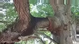 outdoor s e x videos